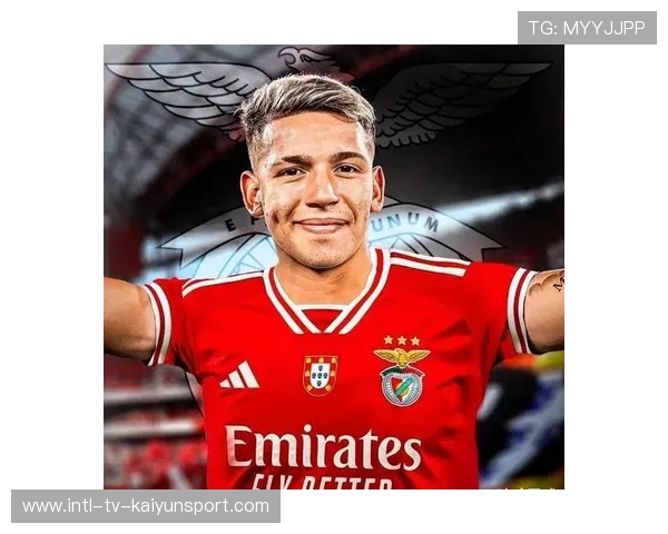 本菲卡若在欧洲继续稳定表现,品牌溢价更高 本菲卡若在欧洲继续稳定表现,品牌溢价更高