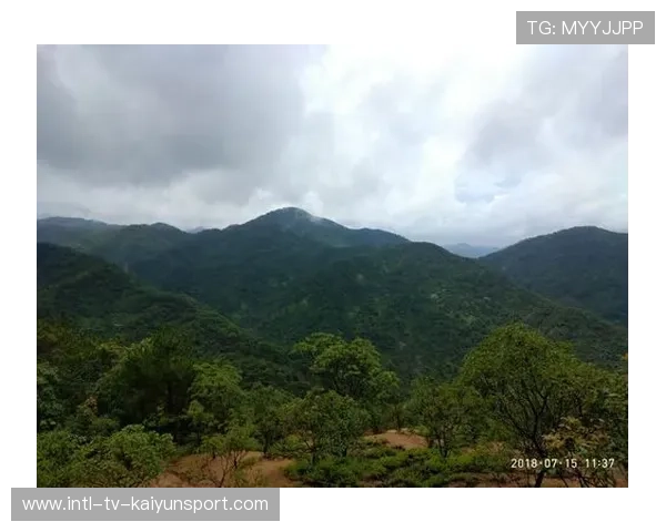 世界登山青年导师生态修复项目第37批结项名单公开，国际登山联合会